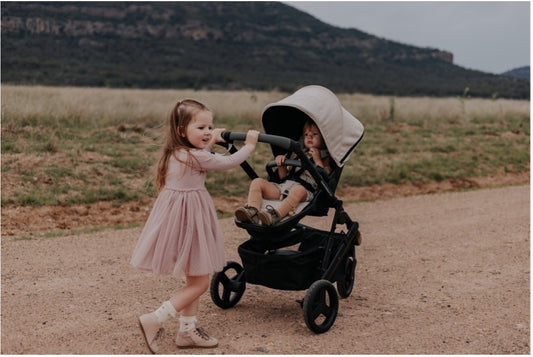 5 Reasons to Buy an Edwards & Co Pram